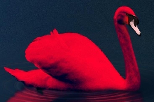 Imagem Quebra-cabeça dos pássaros do amor